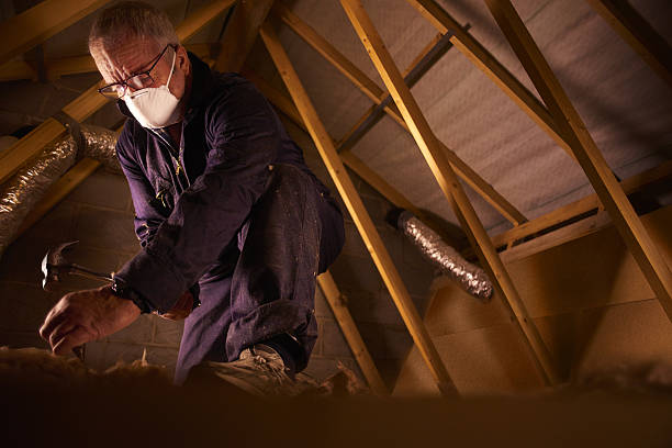 Best Insulation Maintenance and Repair in Eton, GA